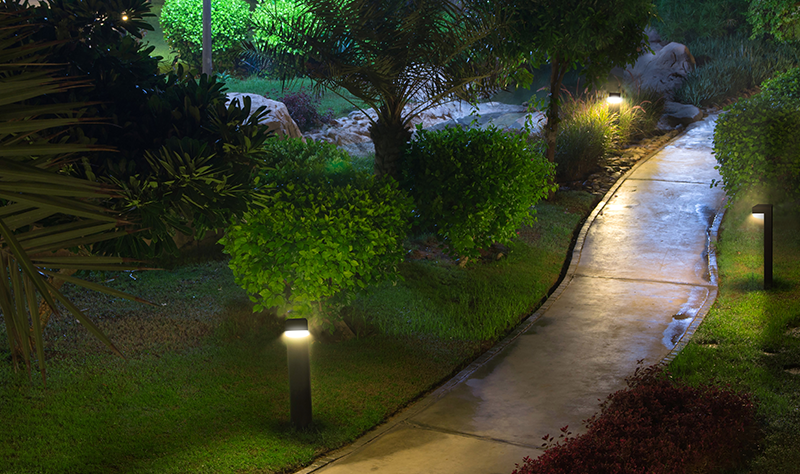 garden